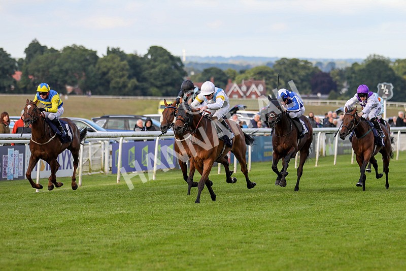 180624-Race 4-Distinction-8026 - Race 4