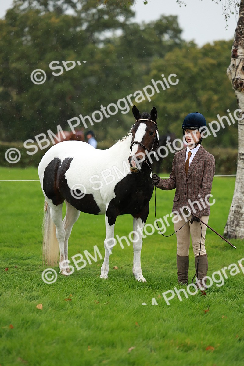SBM_34909 - S10 - Best In Hand Horse & Pony