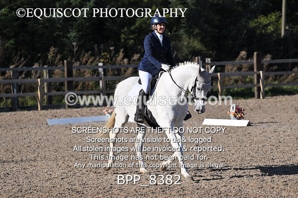 BPP_8382 - LONG ARENA