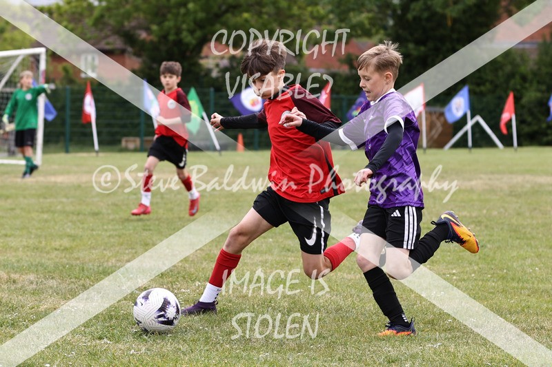 1DX30814 - Brook Field V Goddard Park