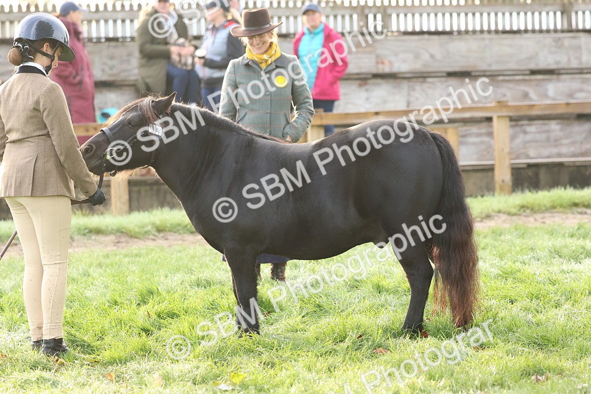 SBM_54527 - S38 - Starters Best Turnout