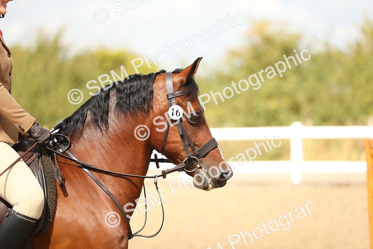 SBM_04838 - Class 47a Style & Performance 60cm (15-19)