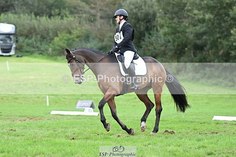 231020-154204-11245 - 507-EDGEDALE.BLUE.LADY-Katie.Lavin-DR