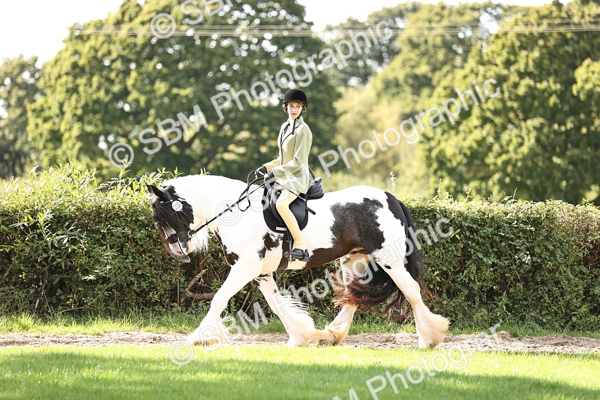 SBM_26383 - S6 - Novice & Newcomers Ridden Horse
