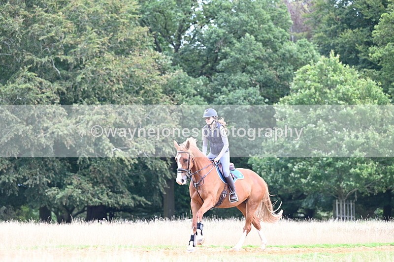 DSC_7090 - Time at Statue 12:45 to 13:15