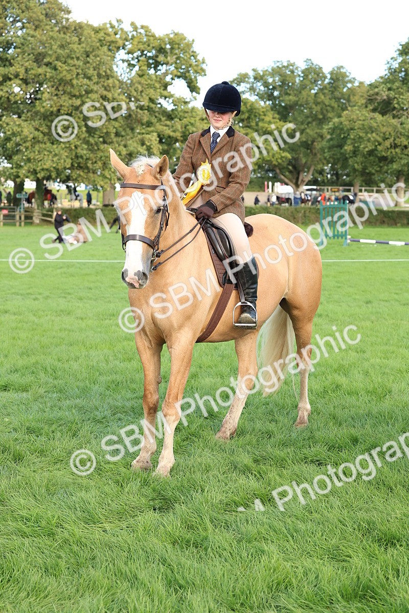 SBM_50205 - S34 - Novice & Newcomers Working Hunter