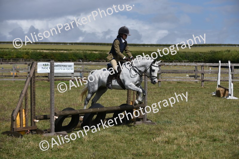 20250831-3943 - Class 11 - Working Hunter Pony 13hh and Under