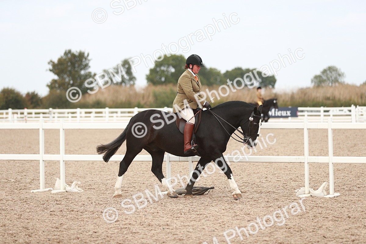 SBM_16617 - Class 214 Ridden Cob