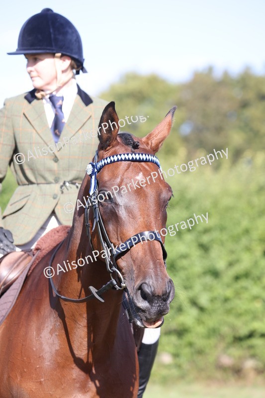 20260906-0407 - Class 14 - Ex Racehorse