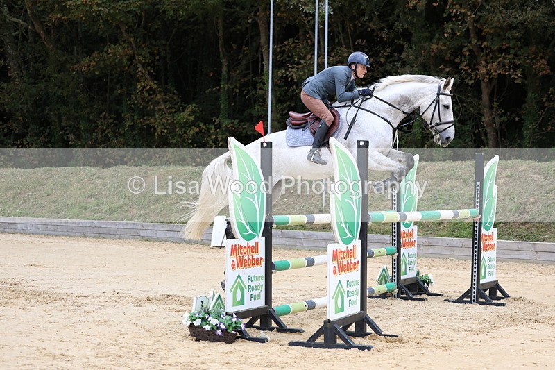 3E7A3219 - Class 9: Senior Foxhunter/1.20 open