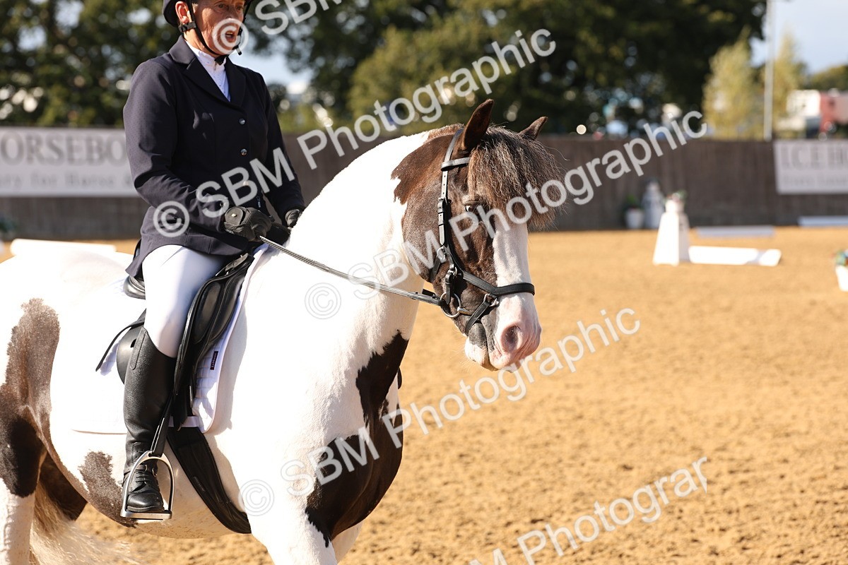 SBM_50433 - D12 - Small Tour Championship prelim 2