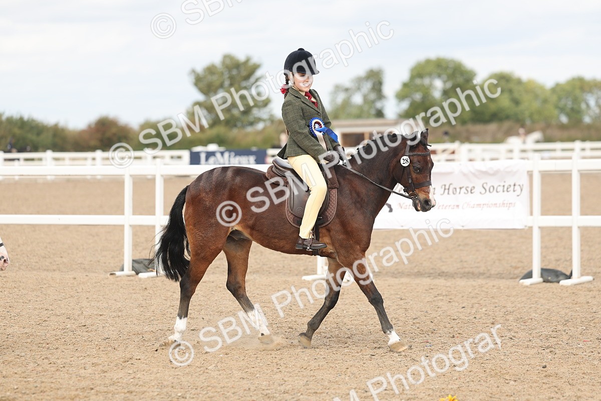 SBM_15947 - Class 310 - First Ridden Pony