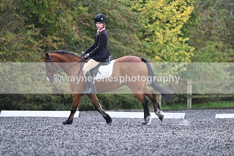 WJ7_3997 - Time 11:04 to 11:38