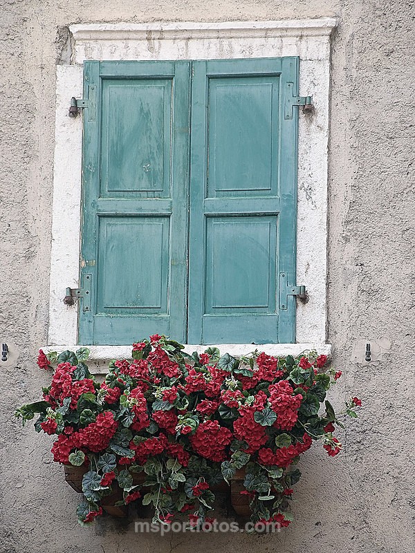 Venice window box - Travel, city/land scapes