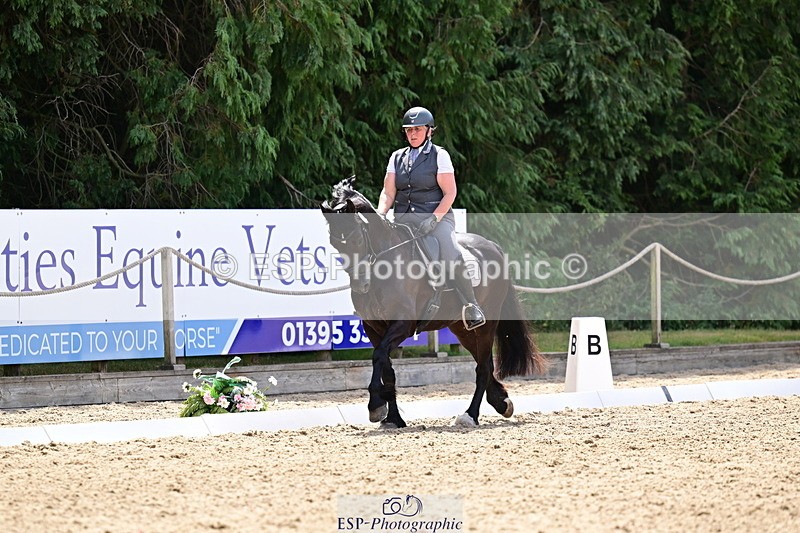 260802A-115726-06028 - Novice Silver break- end
