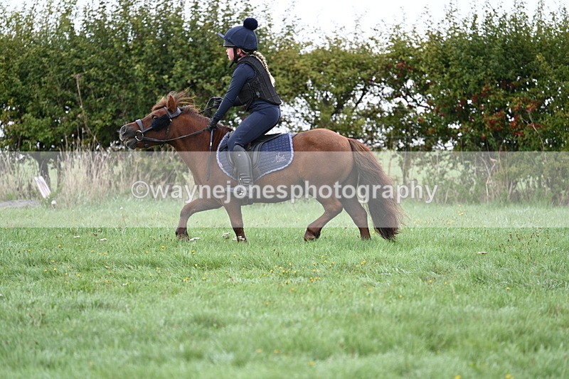 WJ7_7647 - Time 10:05 to 10:30  (3 cameras)