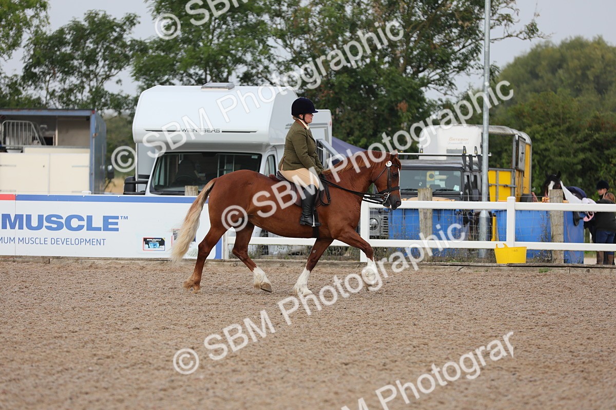SBM_09999 - Class 302 Ridden M&M -Large Breeds