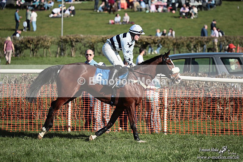 PtP 210326 628 - VWH Cirencester Races 21/03/26