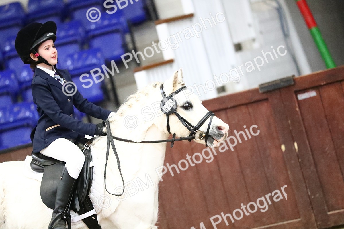 SBM_000465 - Class 2 - 40cm