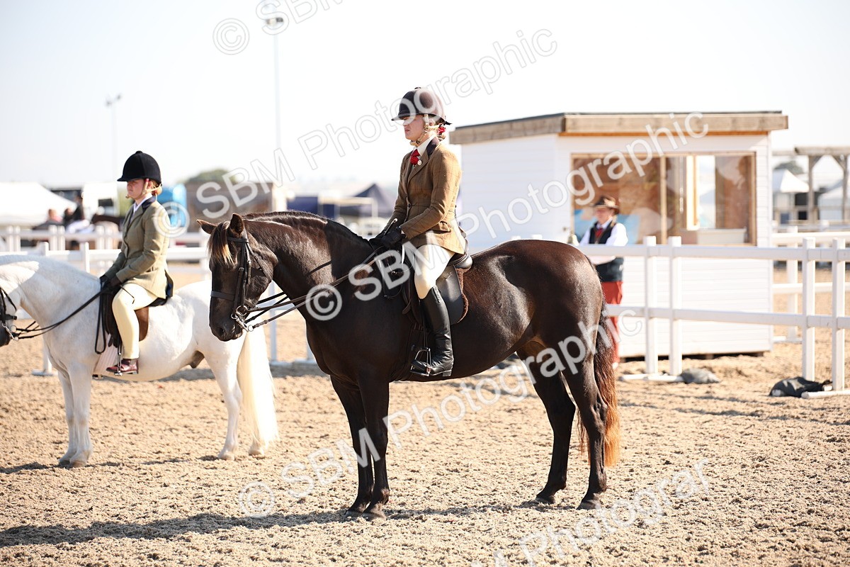 SBM_00742 - Class 14 Ridden M&M Wildcard