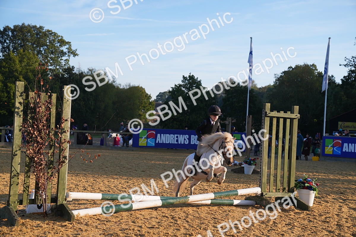 SBM_58906 - J63 - Minis Clear Round 30cm 40cm