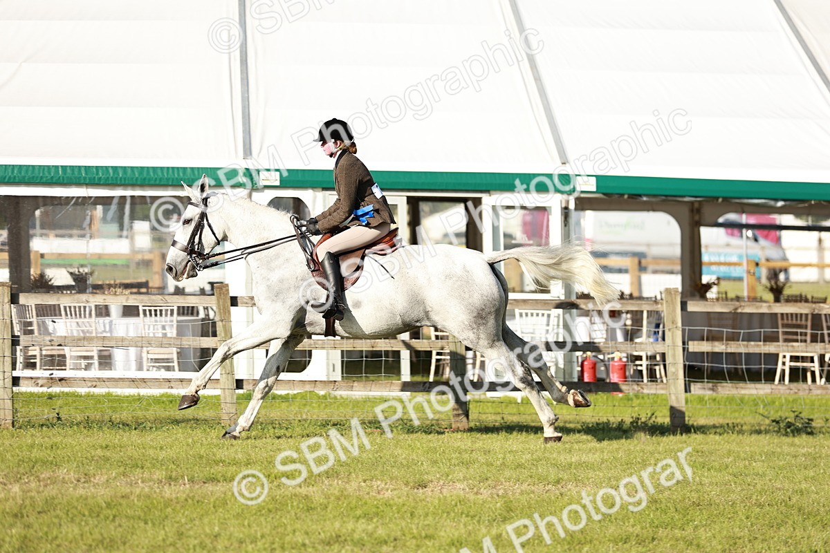 SBM_20119