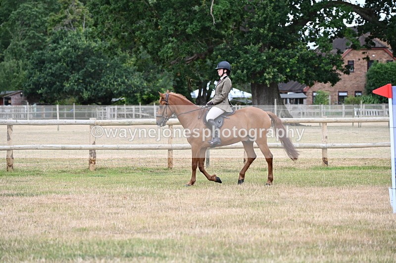 WJ6_3812 - Class 9 Tack & Turnout