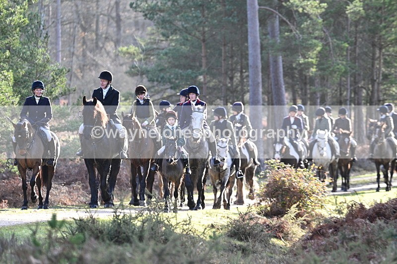 WJ7_7724 - Line 3 (no line 4 or 5)