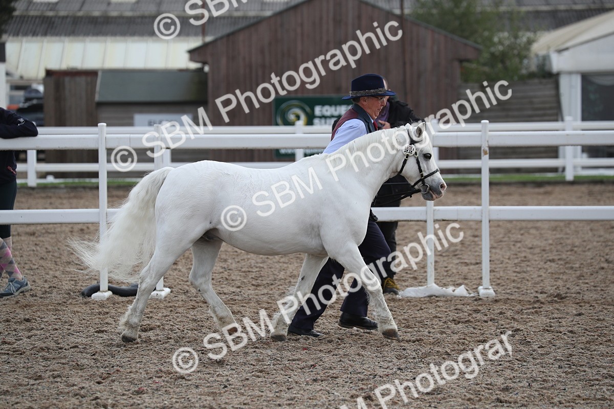 SBM_23115 - Class 605 - 2025 Area - IH Veteran