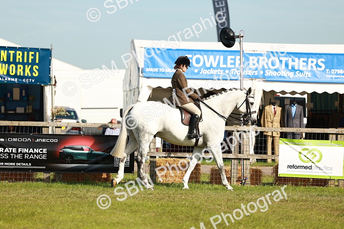 SBM_10864 - Class 66-69 - RIHS Ridden Hunters Inc Small Hunter
