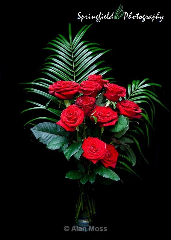  - Still Life & Tabletop