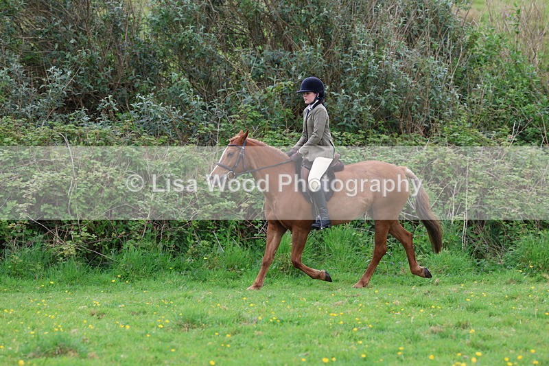 3E7A1522 - Class 8: Ridden Veteran Junoir and Senior