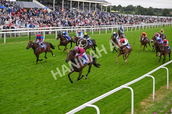 210824-Race 5-Extensio-5413 - Race 5 4.10pm Sky Bet Stayers Handicap