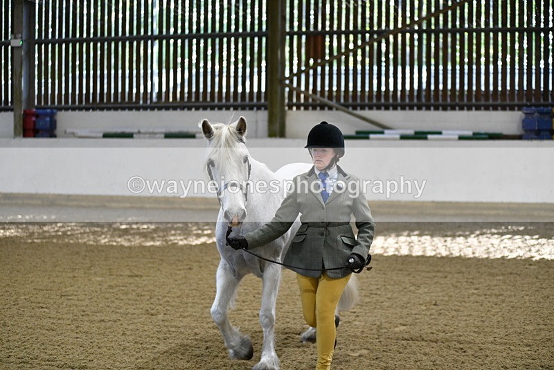 WJ5_3555 - Class 5 In Hand Veterans