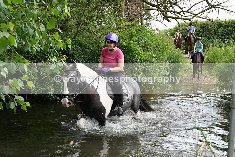 WJ7_2509 - Camera 2 Water Crossing