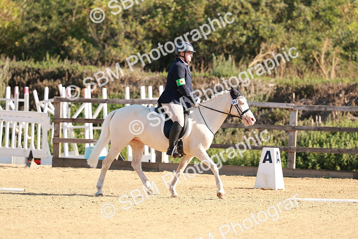 SBM_009100 - Class 1 - Intro 2