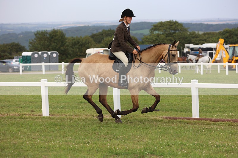 JPP_4440 - Class 26: Working Hunter 1m