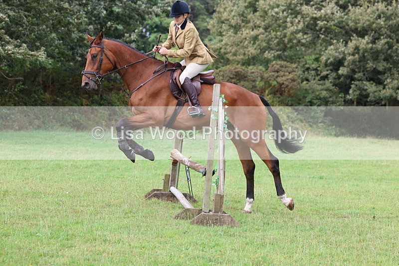 3E7A5824 - Class 26 and 27: 70cm Working Hunter