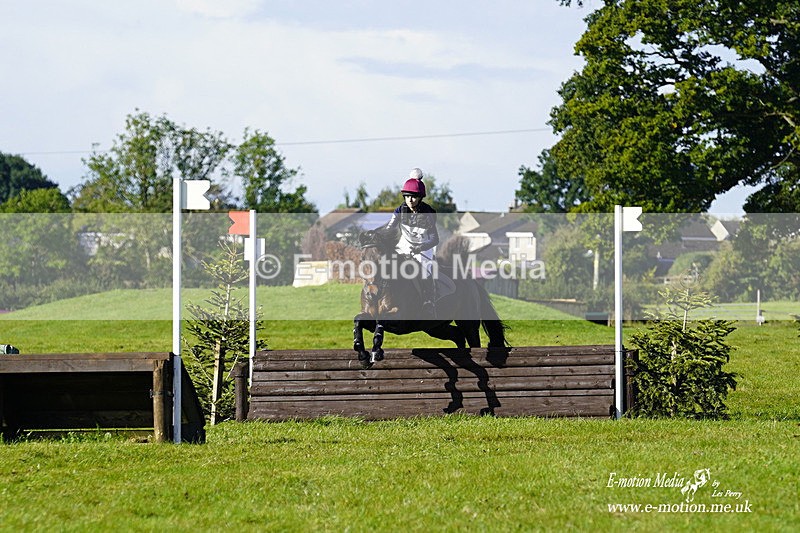  WWHT 031021 581 - WWEC Novice Restricted (0.80m) 18/10/20