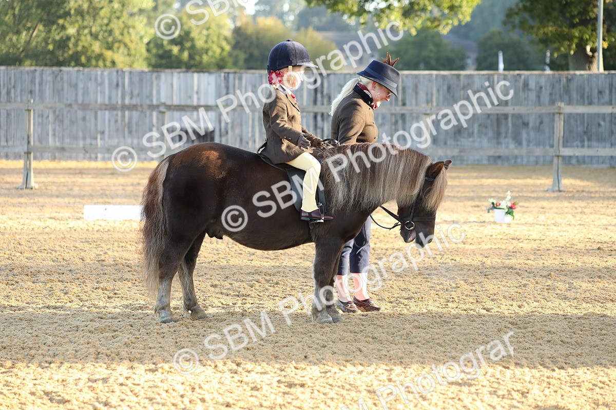 SBM_33550 - D26 - Starers - Lead Rein