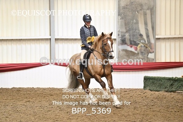 BPP_5369 - CLASS 6 60CM