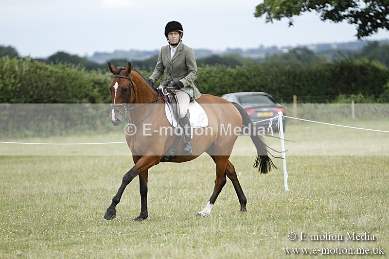 BVR160717-1794 - Ring 3 BVRC Show 16/07/17