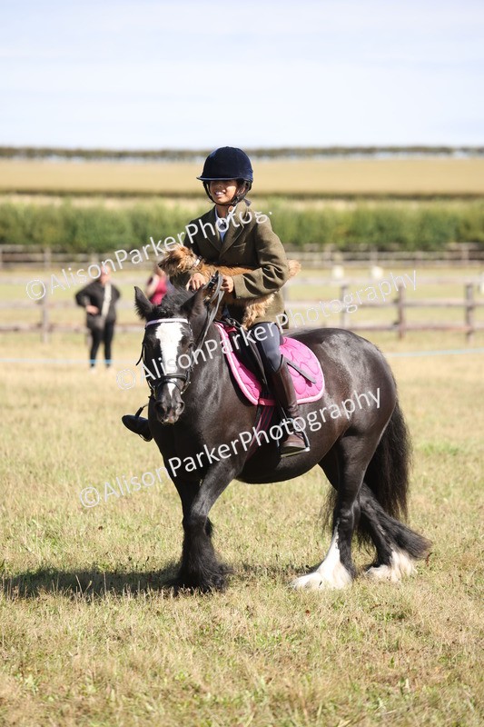 20260906-2184 - Class 16 - Family Pony