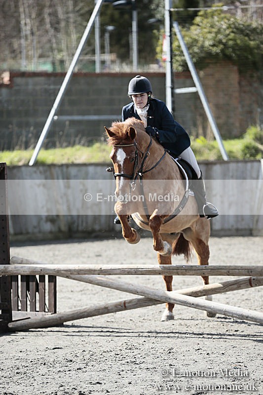 BVRC SJ 170319 206 - Bourne Valley Riding Club Showjumping 17/03/19