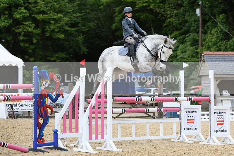 3E7A7538 - Class 8: Senior Foxhunter/1.20 open