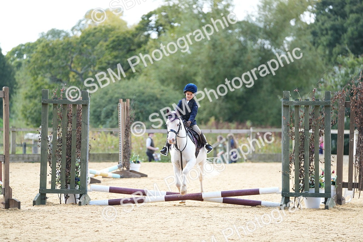 SBM_64621 - J2 - Mini Tour Junior Pony 30cm Championship