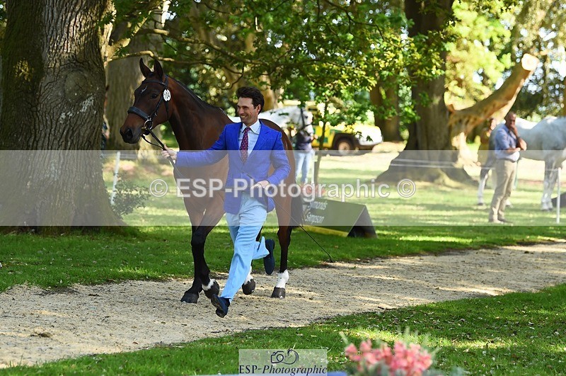 230524-162928-00901 - 104-GALAKIS_DE_L'OCEAN-Harry_Meade-WEDTrotUp+DR
