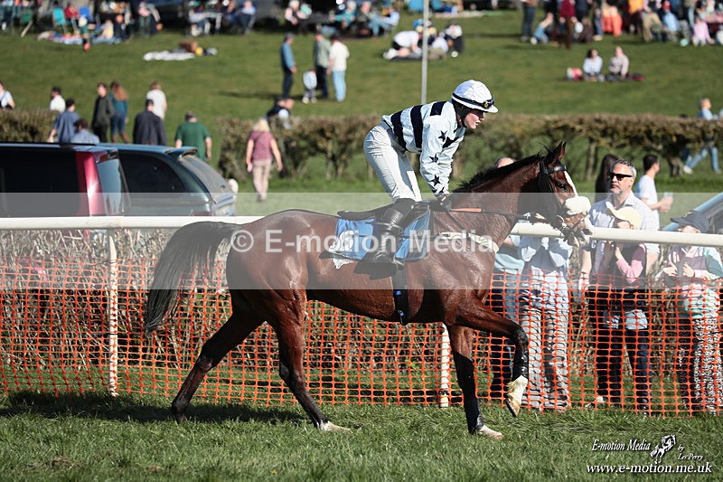 PtP 210326 626 - VWH Cirencester Races 21/03/26