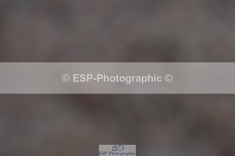 231105A-105612-00180 - UnAf Prelim 18