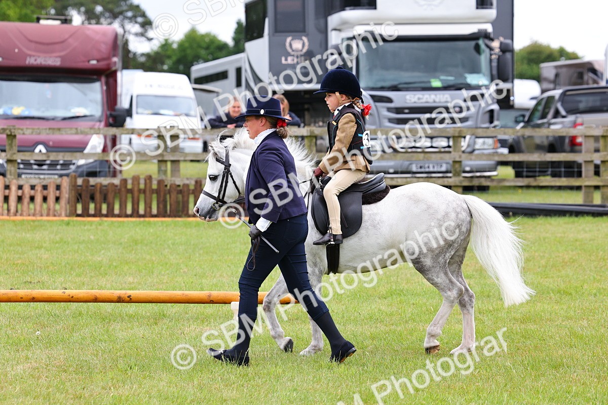 SBM_08128 - Class 42-43 - LIHS BSPS Heritage Working Sports Pony
